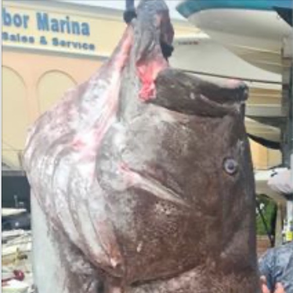 Meet your Posher, Michael - Picture 1 of 1